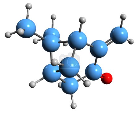 Téléchargez les photos : Image 3D de la formule squelettique de Pinocarvone - structure chimique moléculaire de la 3-Nopinenone isolée sur fond blanc - en image libre de droit