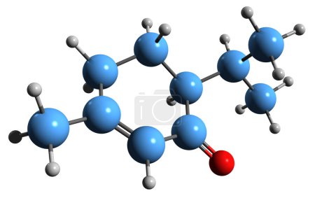Photo for 3D image of Piperitone skeletal formula - molecular chemical structure of natural monoterpene ketone isolated on white background - Royalty Free Image