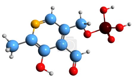 Photo for 3D image of Vitamin B6 skeletal formula - molecular chemical structure of Pyridoxal 5-phosphate isolated on white background - Royalty Free Image
