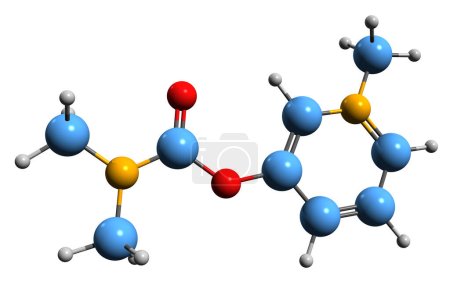 Téléchargez les photos : Image 3D de la formule squelettique de Pyridostigmine - structure chimique moléculaire du médicament contre la myasthénie isolé sur fond blanc - en image libre de droit