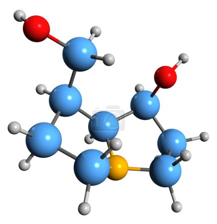 Foto de Imagen 3D de la fórmula esquelética de platinecin - estructura química molecular del alcaloide vegetal aislado sobre fondo blanco - Imagen libre de derechos