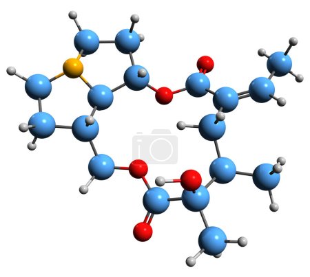 Téléchargez les photos : Image 3D de la formule squelettique Platyphylline - structure chimique moléculaire de l'alcaloïde Platiphylline isolée sur fond blanc - en image libre de droit