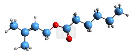 Foto de Imagen 3D de la fórmula esquelética del caproato de prenilo - estructura química molecular del hexanoato de 3-metilbut-2-enilo aislado sobre fondo blanco - Imagen libre de derechos