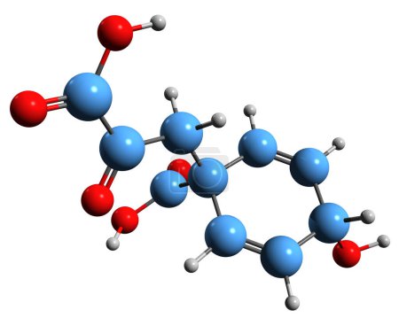 Photo for 3D image of Prephenic acid skeletal formula - molecular chemical structure of  anionic form prephenate isolated on white background - Royalty Free Image