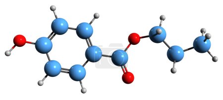 Foto de Imagen 3D de la fórmula esquelética de Propylparaben - estructura química molecular del ácido 4-hidroxibenzoato de propilo aislado sobre fondo blanco - Imagen libre de derechos