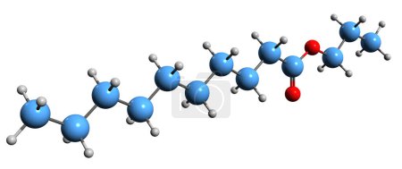 Téléchargez les photos : Image 3D de la formule squelettique du décanoate de propyle - structure chimique moléculaire du caprate de propyle isolé sur fond blanc - en image libre de droit