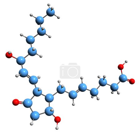 Foto de Imagen 3D de la fórmula esquelética de Prostaglandina D2 - estructura química molecular de eicosanoide aislado sobre fondo blanco - Imagen libre de derechos