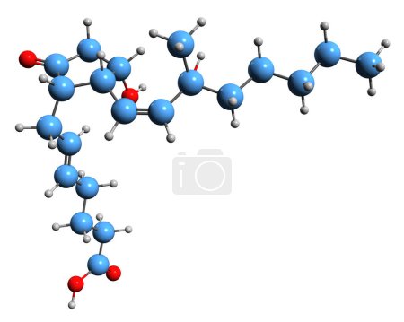 Foto de Imagen 3D de la fórmula esquelética de Prostaglandina E2 - estructura química molecular de eicosanoide aislado sobre fondo blanco - Imagen libre de derechos