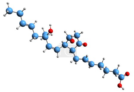 Foto de Imagen 3D de la fórmula esquelética de Prostaglandina E3 - estructura química molecular de eicosanoide aislado sobre fondo blanco - Imagen libre de derechos