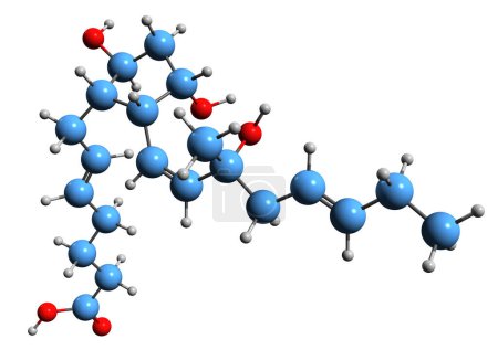 Foto de Imagen 3D de la fórmula esquelética de Prostaglandina F3 - estructura química molecular de eicosanoide aislado sobre fondo blanco - Imagen libre de derechos
