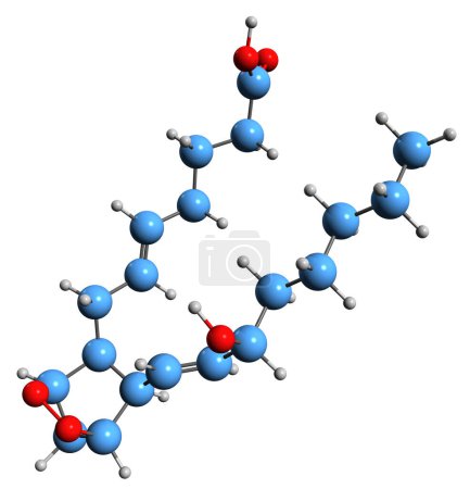 Téléchargez les photos : Image 3D de la formule squelettique de la prostaglandine H2 - structure chimique moléculaire de l'eicosanoïde isolé sur fond blanc - en image libre de droit