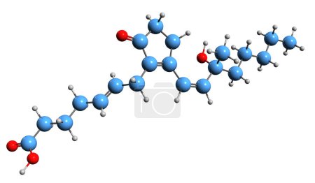 Foto de Imagen 3D de la fórmula esquelética de Prostaglandina B2 - estructura química molecular de eicosanoide aislado sobre fondo blanco - Imagen libre de derechos