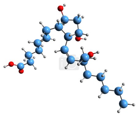 Téléchargez les photos : Image 3D de la formule squelettique de la prostaglandine F2 - structure chimique moléculaire de l'eicosanoïde isolé sur fond blanc - en image libre de droit