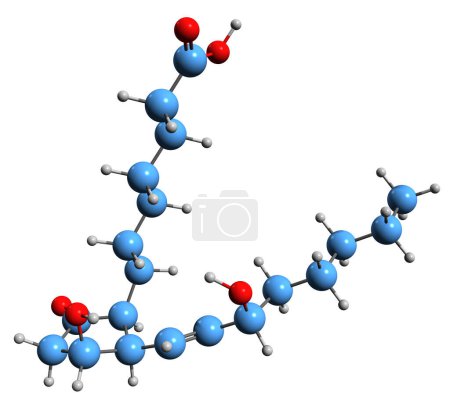 Foto de Imagen 3D de la fórmula esquelética de Prostaglandina E1 - estructura química molecular de eicosanoide aislado sobre fondo blanco - Imagen libre de derechos