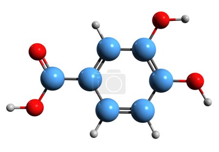 Téléchargez les photos : Image 3D de la formule squelettique de l'acide protocatéchuique - structure chimique moléculaire de l'acide dihydroxybenzoïque isolé sur fond blanc - en image libre de droit
