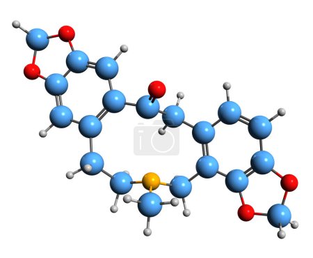 Téléchargez les photos : Image 3D de la formule squelettique de Protopine - structure chimique moléculaire de l'alcaloïde de pavot opium isolé sur fond blanc - en image libre de droit