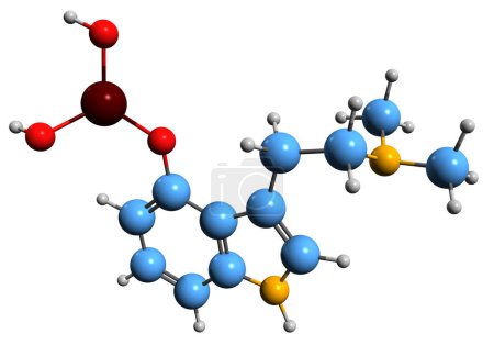 Photo for 3D image of Psilocybin skeletal formula - molecular chemical structure of Psilocybe psychedelic prodrug isolated on white background - Royalty Free Image