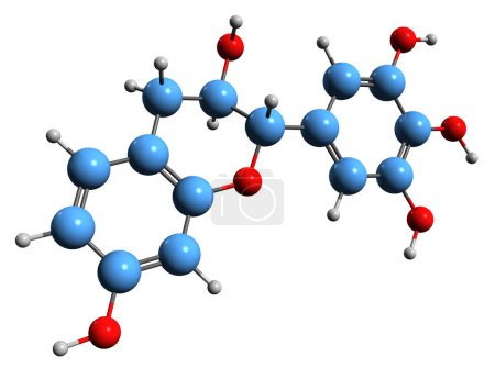 Photo for 3D image of rabinetidol skeletal formula - molecular chemical structure of flavonoid isolated on white background - Royalty Free Image