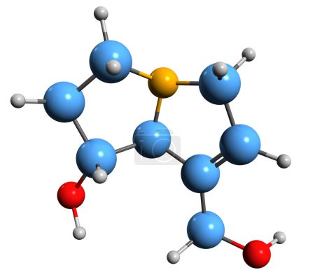 Téléchargez les photos : Image 3D de la formule squelettique de la rétronécine - structure chimique moléculaire de l'alcaloïde pyrrolizidine isolé sur fond blanc - en image libre de droit