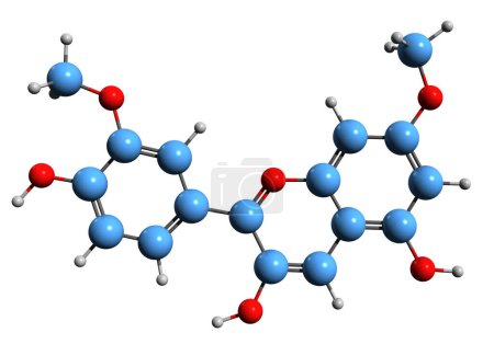 Foto de Imagen 3D de la fórmula esquelética de Rosinidin - estructura química molecular de antocianidina O-metilada aislada sobre fondo blanco - Imagen libre de derechos