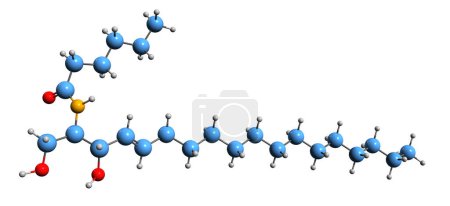 Téléchargez les photos : Image 3D de la formule squelettique C6 Ceramide - structure chimique moléculaire de isolé sur fond blanc - en image libre de droit