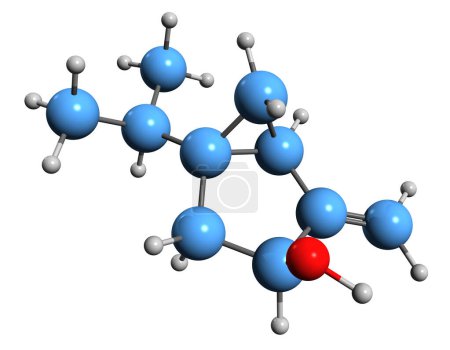 Foto de Imagen 3D de la fórmula esquelética de Sabinol: estructura química molecular del alcohol monoterpeno aislado sobre fondo blanco - Imagen libre de derechos