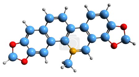 Photo for 3D image of Sanguinarine skeletal formula - molecular chemical structure of  polycyclic quaternary alkaloid isolated on white background - Royalty Free Image
