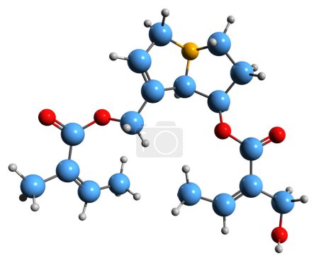 Photo for 3D image of Sarracine skeletal formula - molecular chemical structure of alkaloid Sarracinum isolated on white background - Royalty Free Image