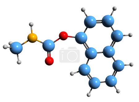 Téléchargez les photos : Image 3D de la formule squelettique de Carbaryl - structure chimique moléculaire du méthylcarbamate de 1-naphtyle isolé sur fond blanc - en image libre de droit