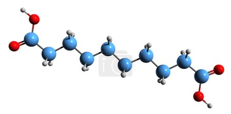 Téléchargez les photos : Image 3D de la formule squelettique de l'acide sébacique - structure chimique moléculaire de l'acide décanedioïque isolé sur fond blanc - en image libre de droit
