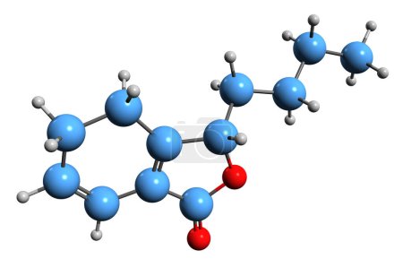 Téléchargez les photos : Image 3D de la formule squelettique de Sedanolide - structure chimique moléculaire du tétrahydrophtalide isolé sur fond blanc - en image libre de droit