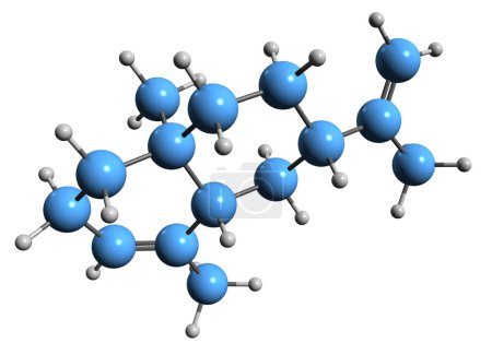 Téléchargez les photos : Image 3D de la formule squelettique du sélinène - structure chimique moléculaire du sesquiterpène phytochimique isolé sur fond blanc - en image libre de droit