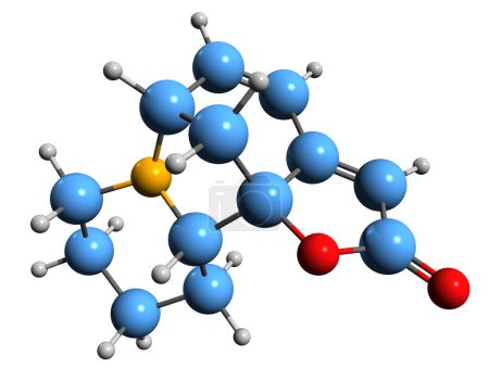 Téléchargez les photos : Image 3D de la formule squelettique sécurinine - structure chimique moléculaire de l'alcaloïde isolé sur fond blanc - en image libre de droit