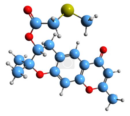 Foto de Imagen 3D de la fórmula esquelética de seselirina - estructura química molecular de la cromona aislada sobre fondo blanco - Imagen libre de derechos