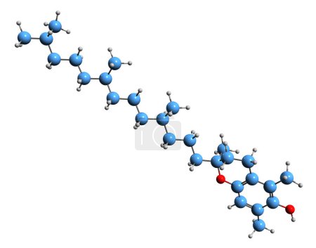 Foto de Imagen 3D de la fórmula esquelética sigma-tocoferol - estructura química molecular de la vitamina E aislada sobre fondo blanco - Imagen libre de derechos