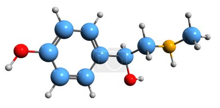 Téléchargez les photos : Image 3D de la formule squelettique Synephrine - structure chimique moléculaire de phytochimique isolé sur fond blanc - en image libre de droit