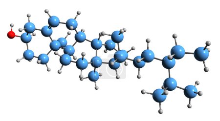Photo for 3D image of beta-Sitosterol skeletal formula - molecular chemical structure of plant sterol isolated on white background - Royalty Free Image