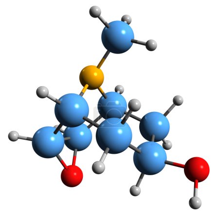 Téléchargez les photos : Image 3D de la formule squelettique de Scopine - structure chimique moléculaire de l'alcaloïde Mandragora tropane isolé sur fond blanc - en image libre de droit