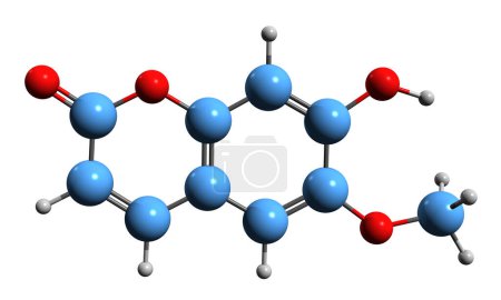 Téléchargez les photos : Image 3D de la formule squelettique de la Scopolétine - structure chimique moléculaire de la phytochimie isolée sur fond blanc - en image libre de droit