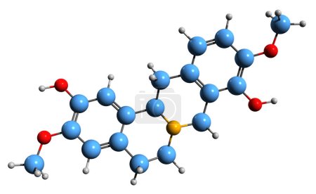 Photo for 3D image of Scoulerine skeletal formula - molecular chemical structure of benzylisoquinoline alkaloid Discretamine isolated on white background - Royalty Free Image