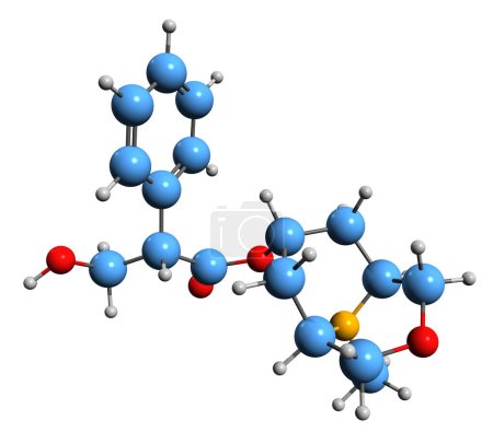 Téléchargez les photos : Image 3D de la formule squelettique Scopolamine - structure chimique moléculaire de l'alcaloïde hyoscine tropane isolé sur fond blanc - en image libre de droit