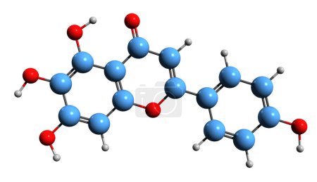 Foto de Imagen 3D de la fórmula esquelética de Scutellarein - estructura química molecular de Scutellaria flavone aislada sobre fondo blanco - Imagen libre de derechos