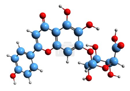 Foto de Imagen 3D de la fórmula esquelética de Scutellarin - estructura química molecular de la flavona Scutellaria aislada sobre fondo blanco - Imagen libre de derechos