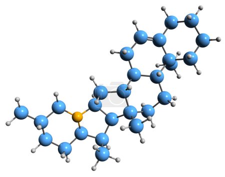Foto de Imagen 3D de la fórmula esquelética de Solanidina - estructura química molecular del glucoalcaloide esteroideo aislado sobre fondo blanco - Imagen libre de derechos