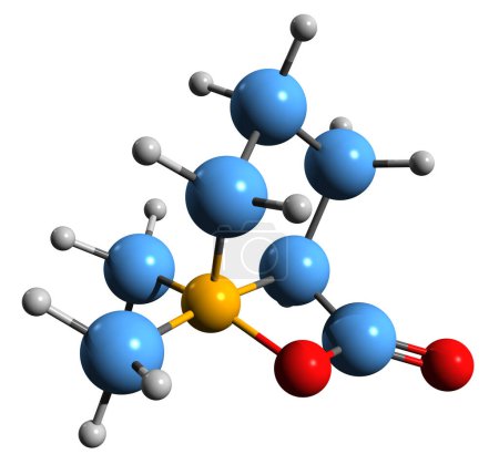 Téléchargez les photos : Image 3D de la formule squelettique de la Stachydrine - structure chimique moléculaire de la proline bétaïne isolée sur fond blanc - en image libre de droit