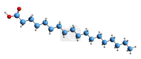 Téléchargez les photos : Image 3D de la formule squelettique de l'acide stéarique - structure chimique moléculaire de l'acide octadécanoïque isolé sur fond blanc - en image libre de droit