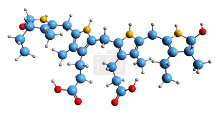 Foto de Imagen 3D de la fórmula esquelética de Stercobilinogen - estructura química molecular del urobilinógeno fecal aislado sobre fondo blanco - Imagen libre de derechos