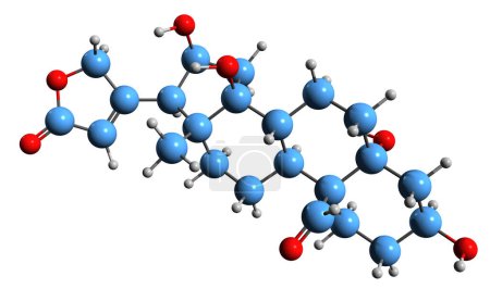 Foto de Imagen 3D de la fórmula esquelética de Strophadogenin - estructura química molecular de cardenolide aislado sobre fondo blanco - Imagen libre de derechos