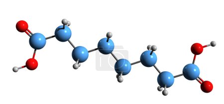 Téléchargez les photos : Image 3D de la formule squelettique de l'acide subérique - structure chimique moléculaire de l'acide octanedioïque isolé sur fond blanc - en image libre de droit