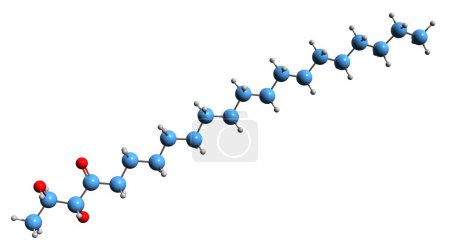 Photo for 3D image of Succistearin skeletal formula - molecular chemical structure of Food supplement isolated on white background - Royalty Free Image